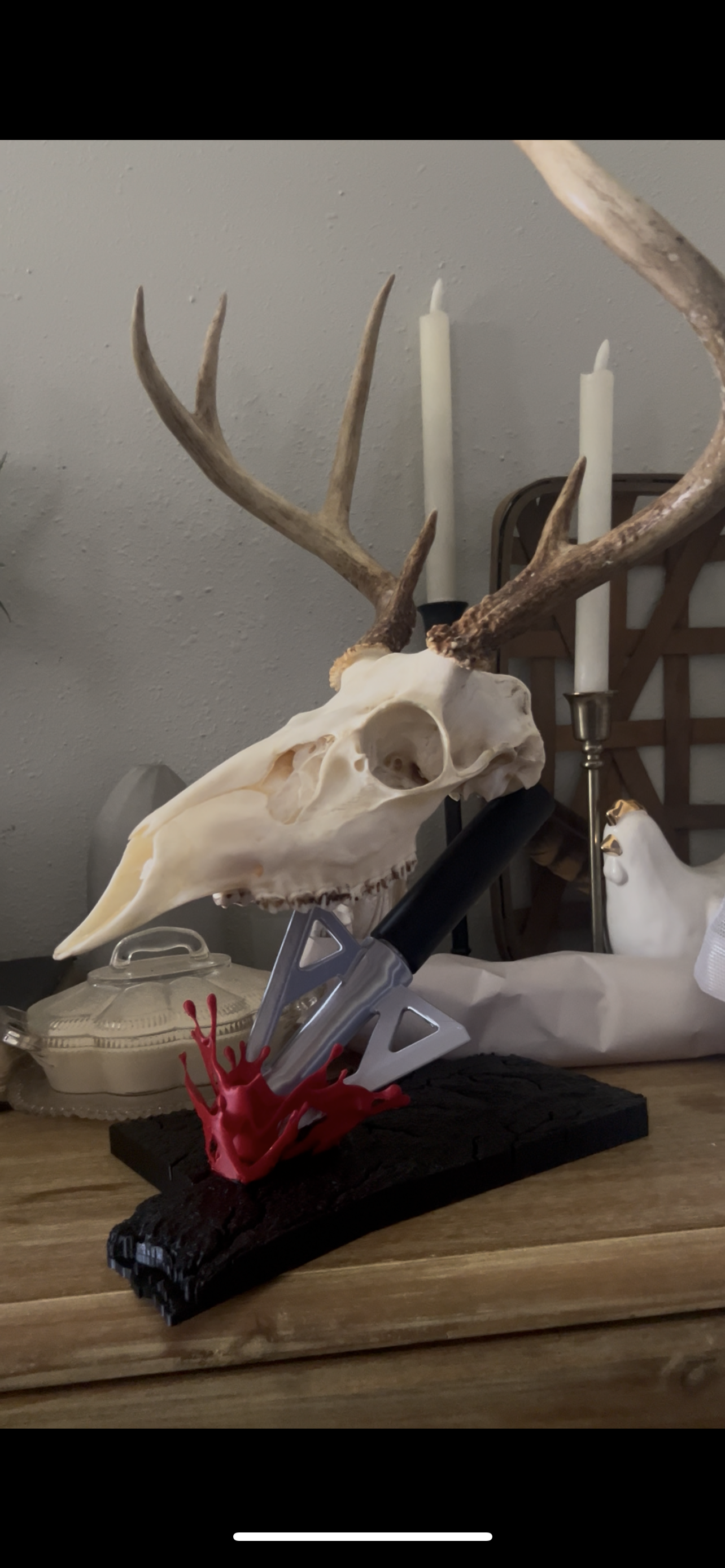 European skull mount