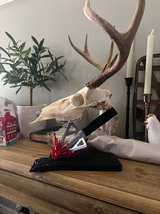 European skull mount