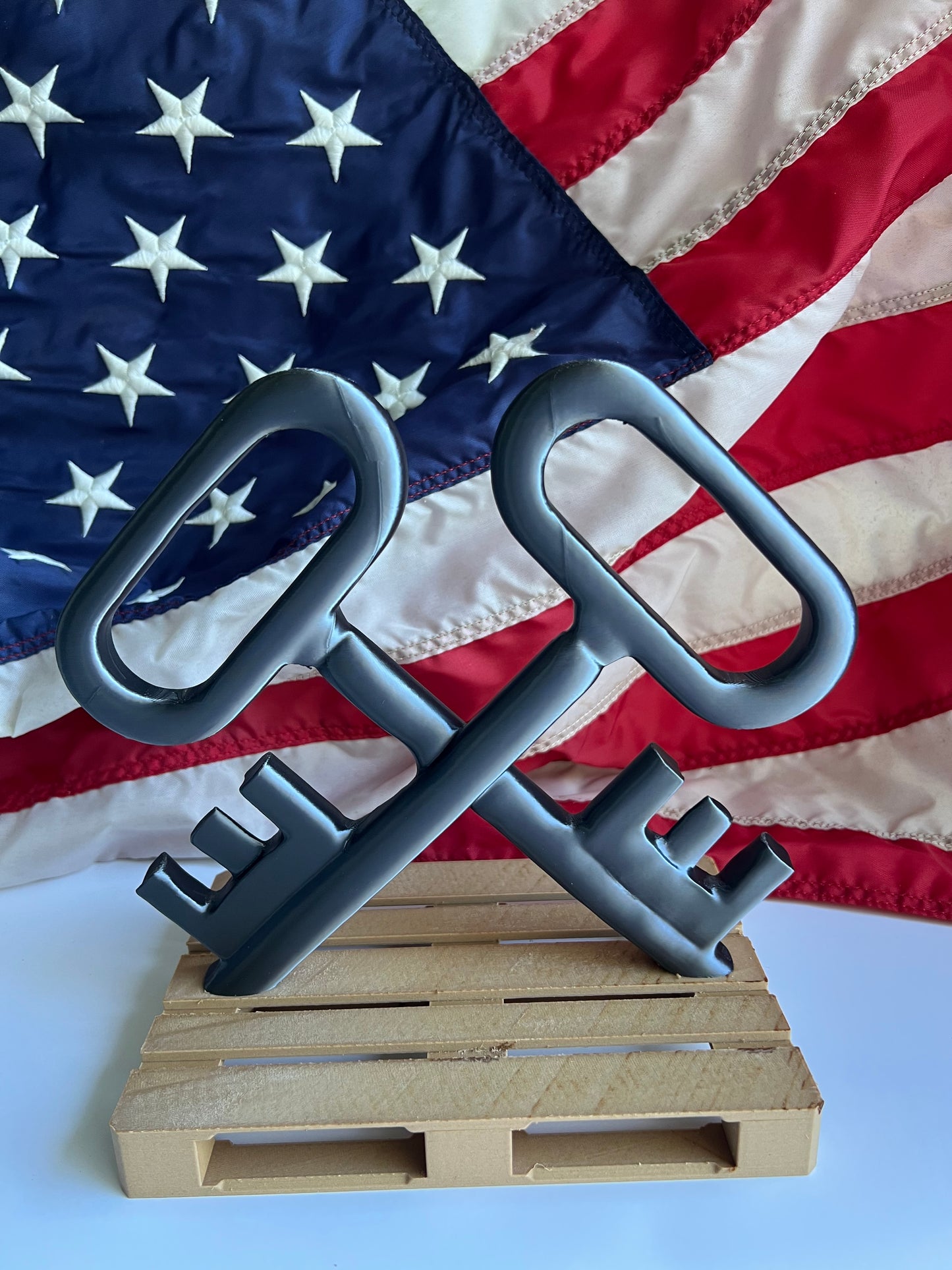 Logistics specialist Navy LS Keys