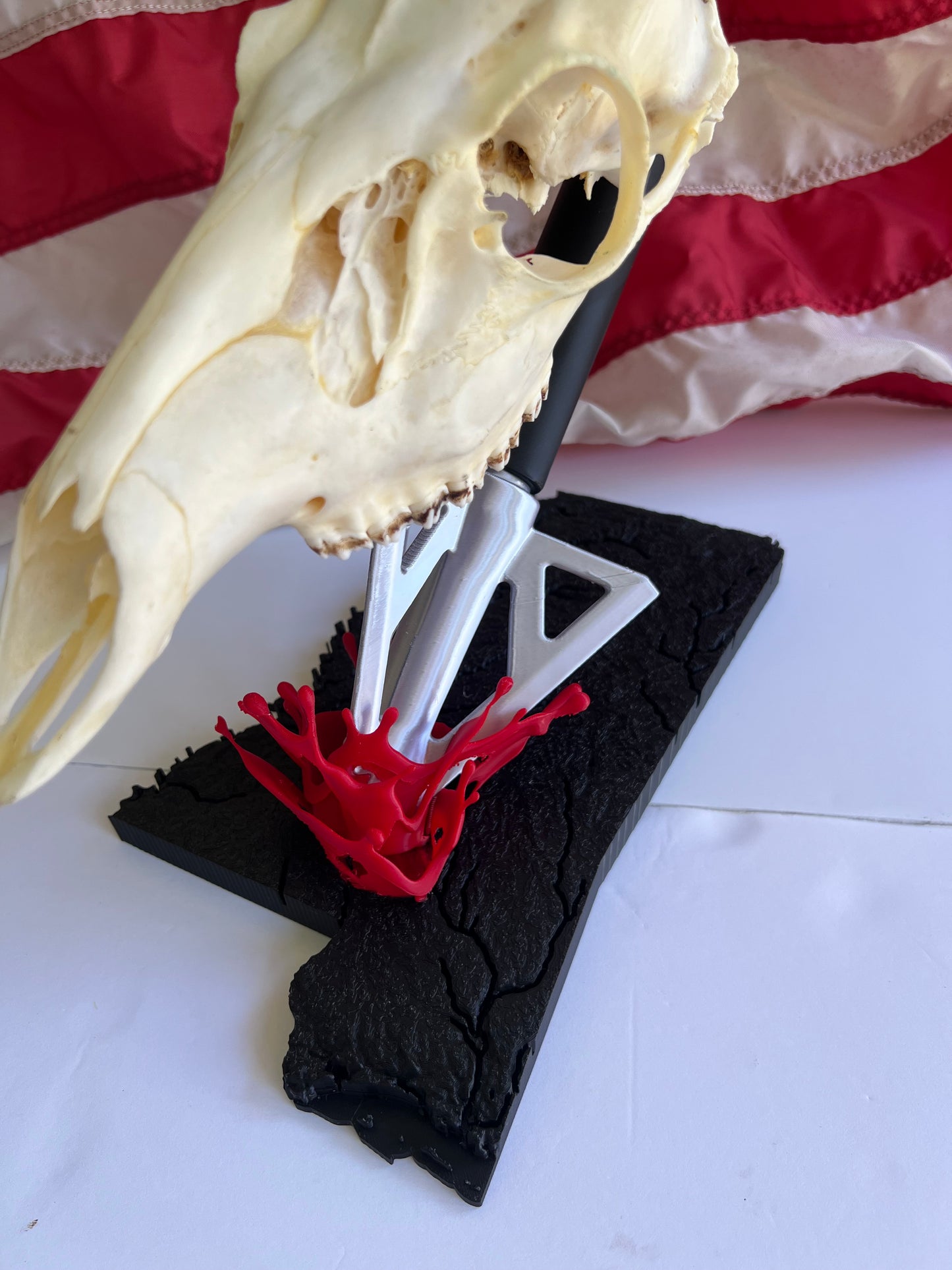 European skull mount