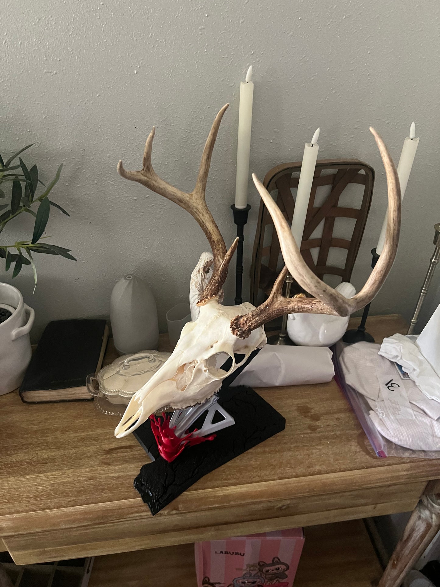 European skull mount