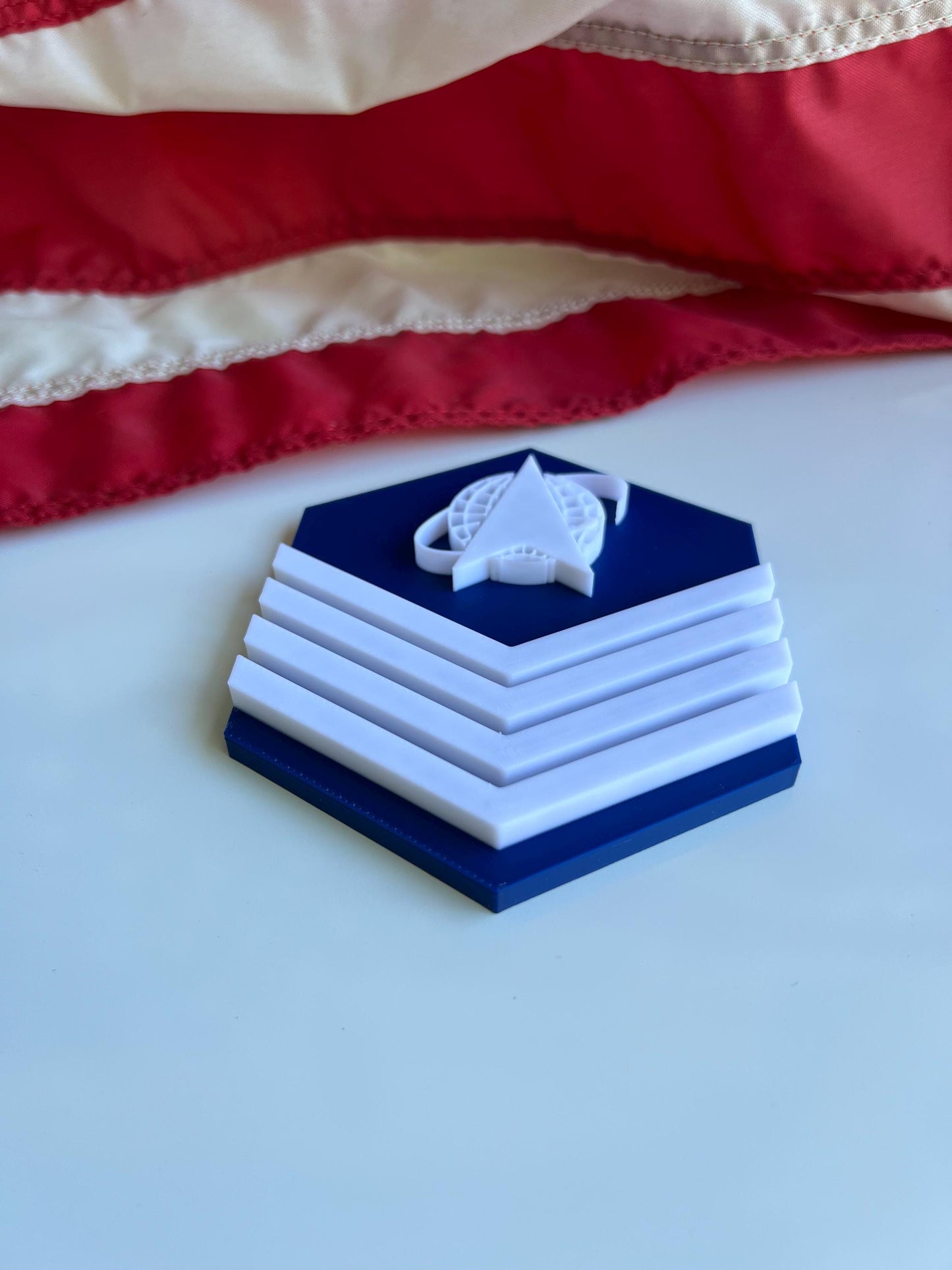 Space Force Ranks E-4 through E-9  Display Ready Multiple Sizes Available