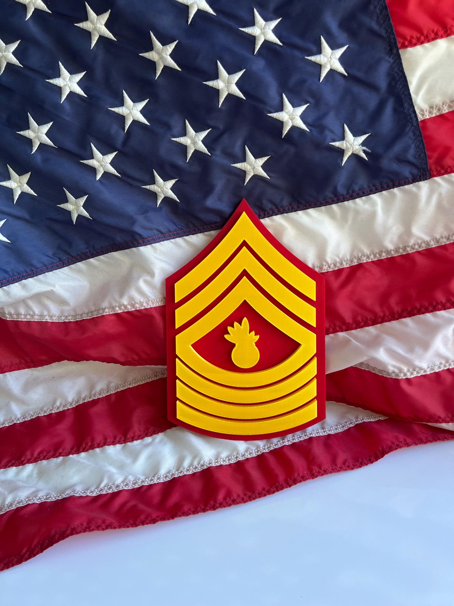 USMC Rank Collection  E-4 to E-9 | Honor, Leadership, Tradition